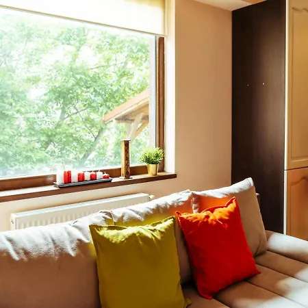 Herastrau Special Apartment