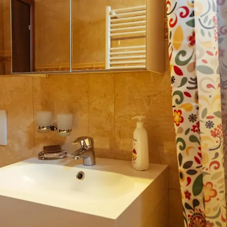 Apartment Herastrau Special *