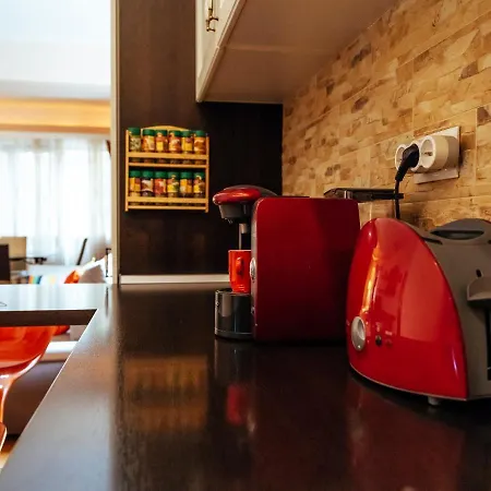 Herastrau Special Apartment *