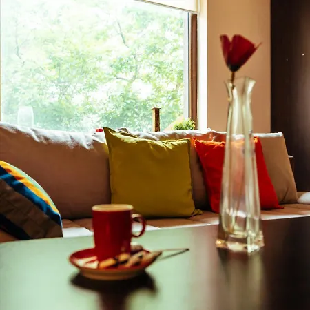 Apartment Herastrau Special